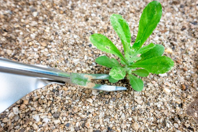 Use of Specialized Equipment