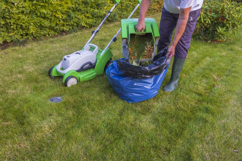 Seasonal Lawn Care Equipment