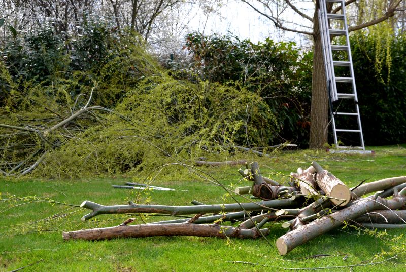 Tree Debris Removal in Honolulu, HI
