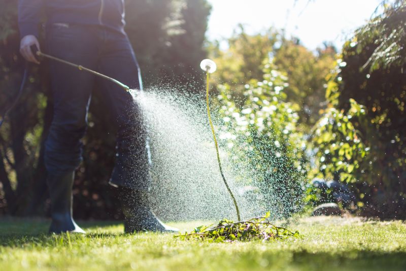 Weed Pulling in a Garden Bed